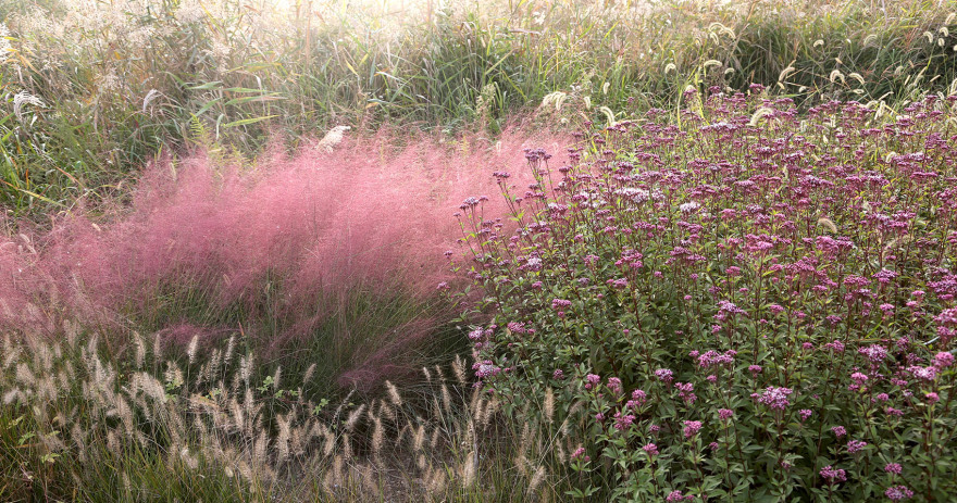 多岛海野草公园丨中国日照丨孔祥伟工作室-129