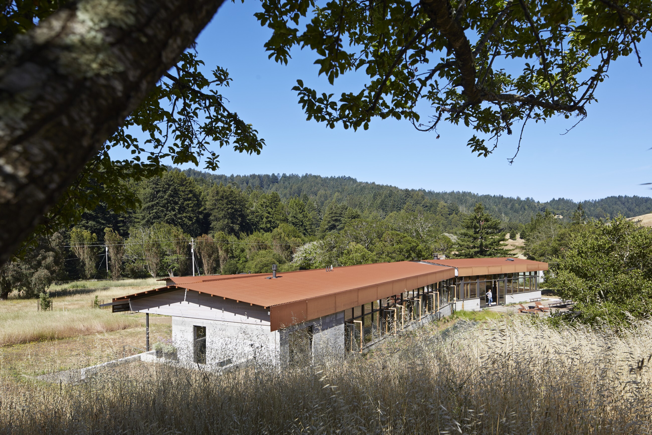 Crook Cup Bow Twist（曲木之魂）住宅设计-17