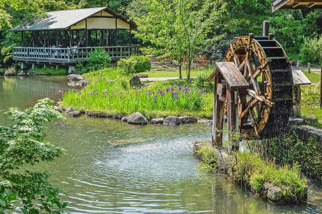 名古屋市东山动植物园之植物园丨日本爱知-28
