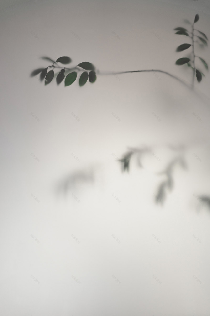 瑜伽工作室方法丨俄罗斯加里宁格勒丨Beluga Maria,Yudina Valeria-25