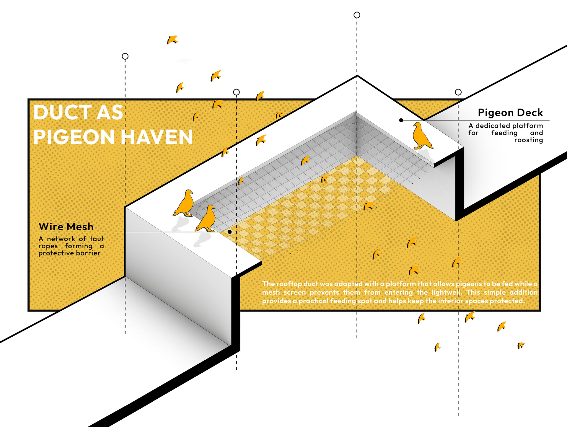 埃及盖亚城市绿洲丨EgyptCairo丨REC & BASE studio-26