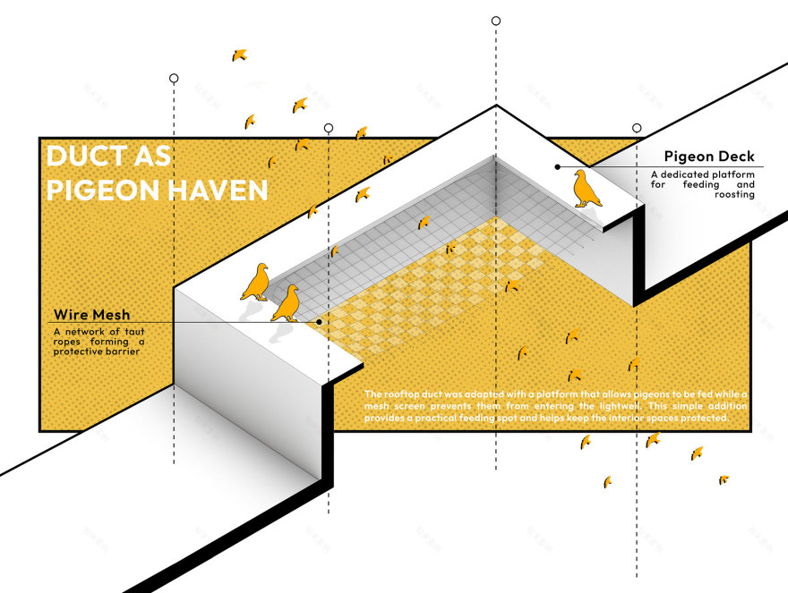 埃及盖亚城市绿洲丨EgyptCairo丨REC & BASE studio-26