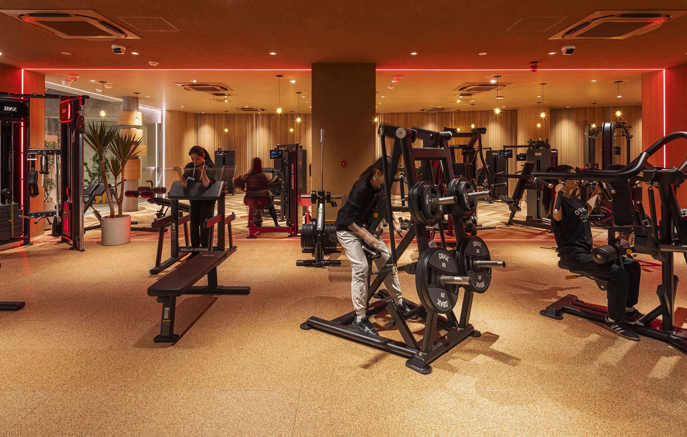 健身房丨日本埼玉丨KAMITOPEN建筑设计事务所-8