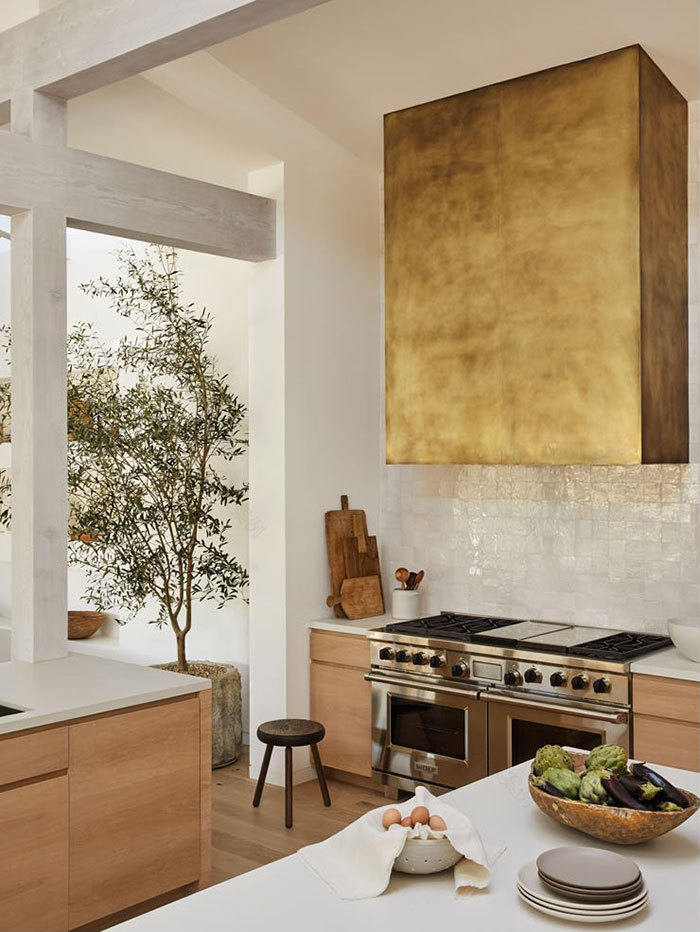 洛杉矶现代家居的自然韵味-6