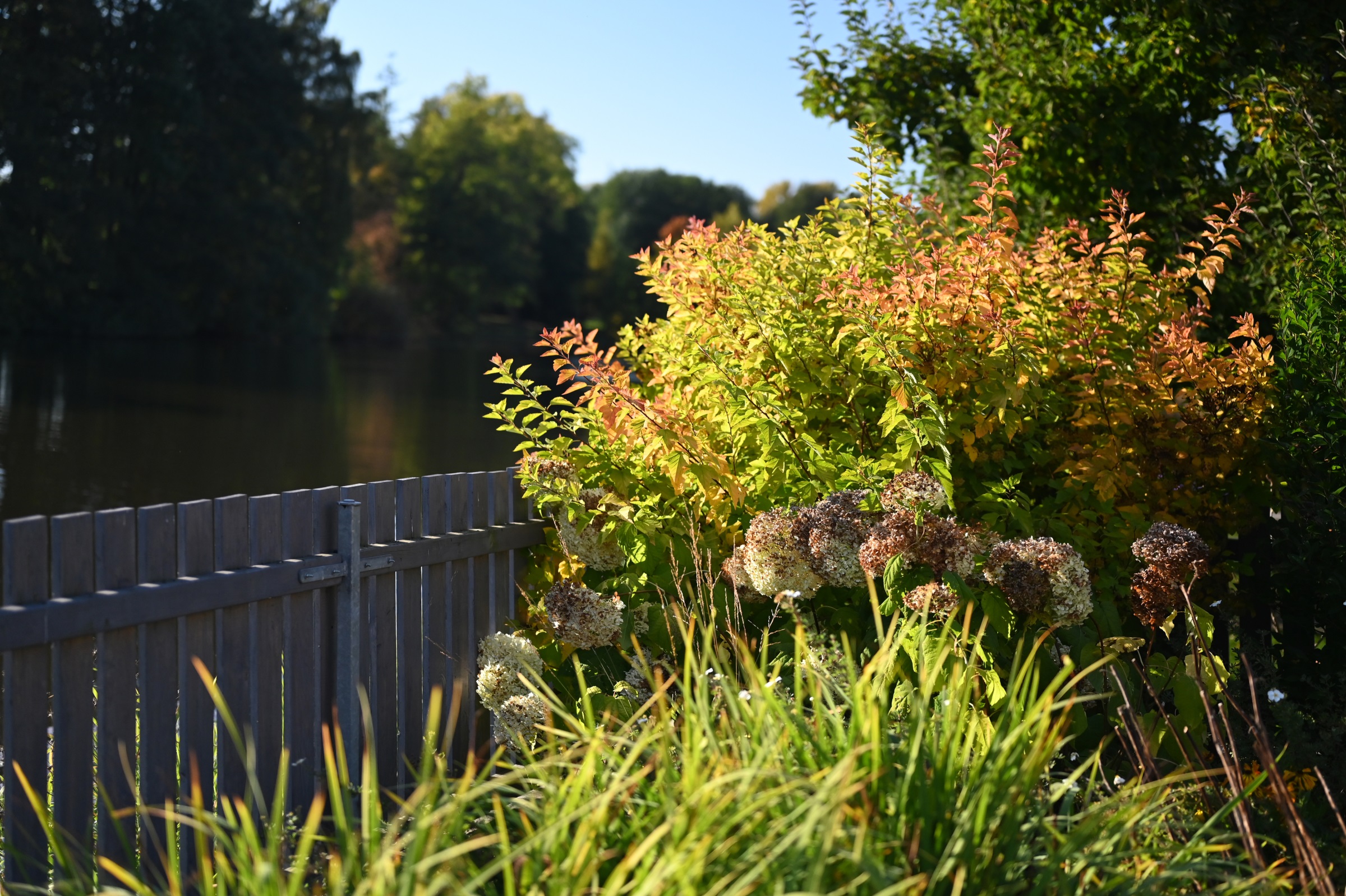 以花园为画布，私家花园设计丨捷克丨Atelier Parter-23