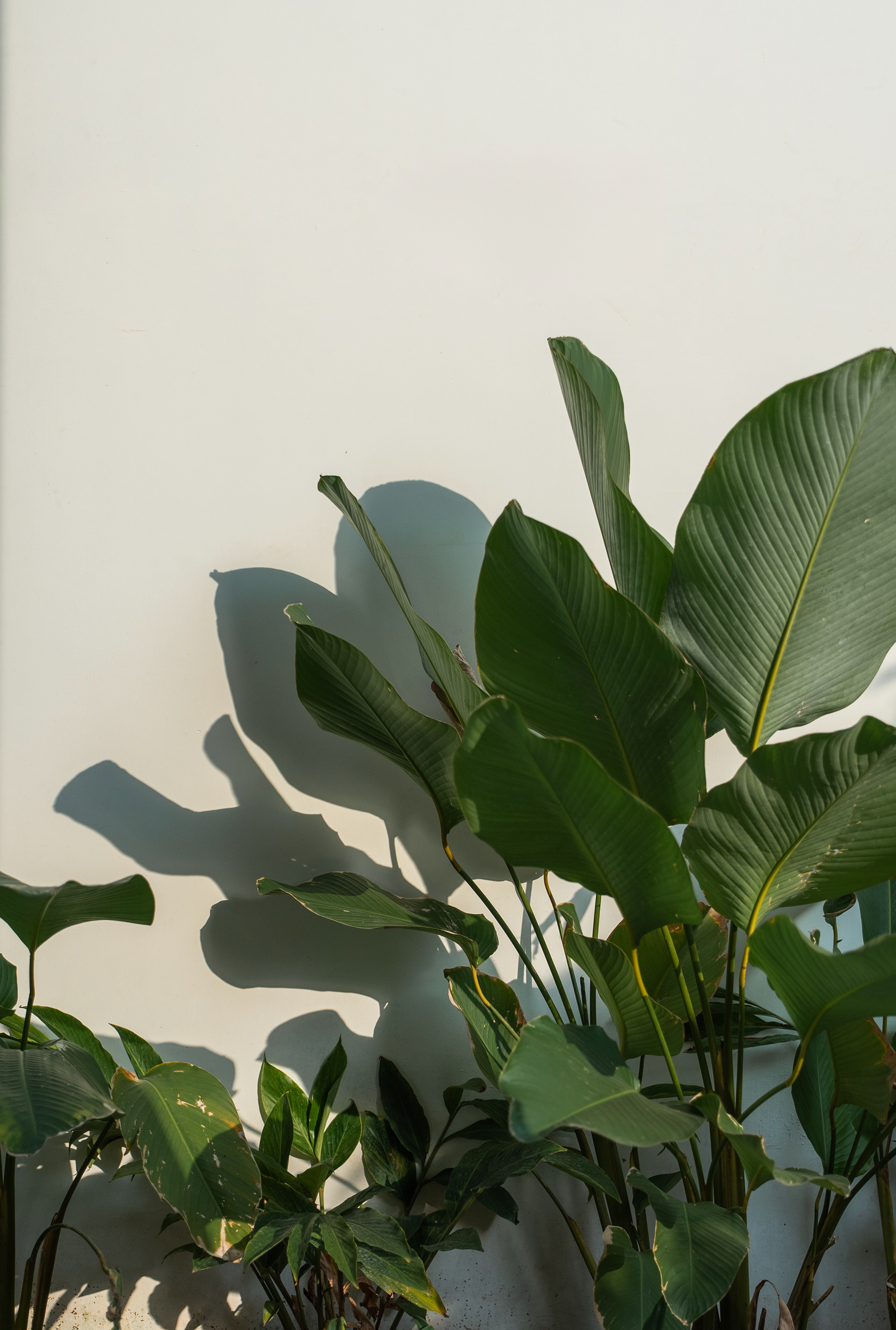 露台餐厅丨KARTHIK ARCHITECTS-33