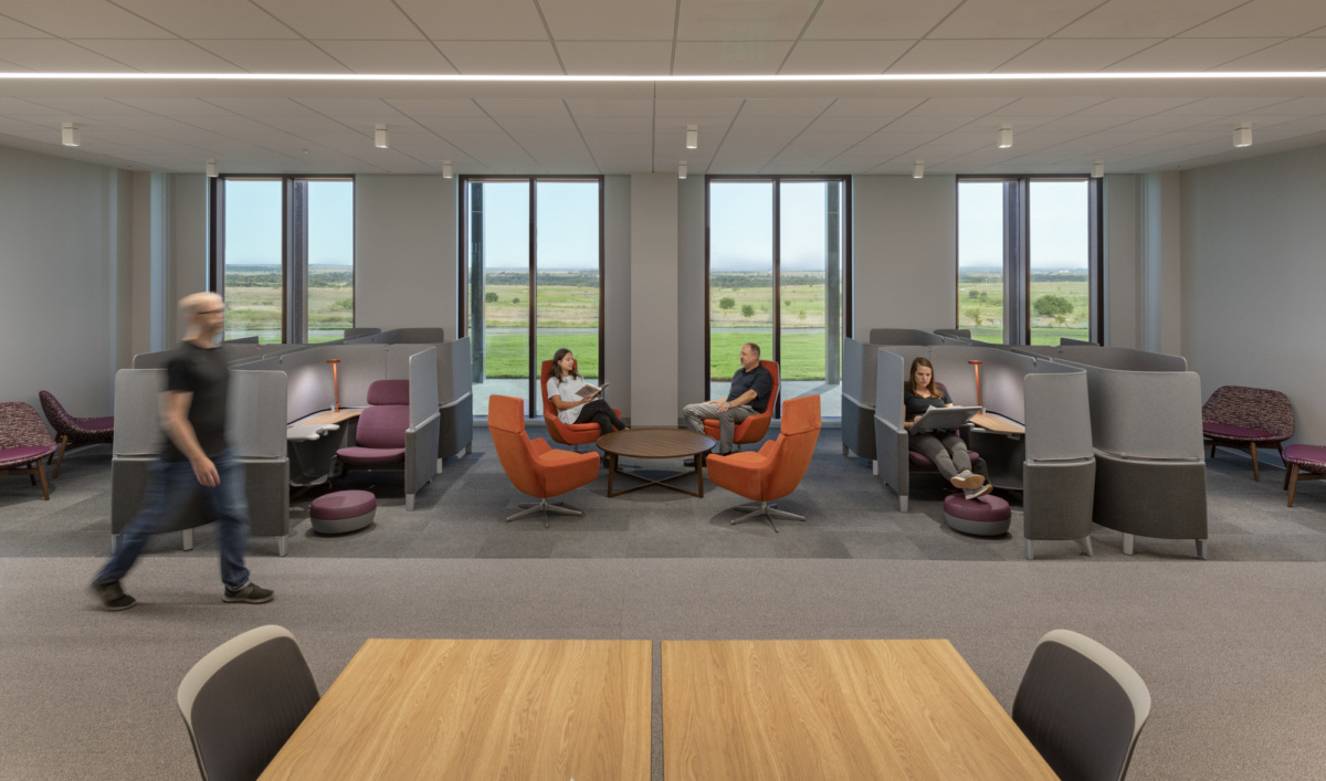 塔尔顿州立大学迁移项目-13