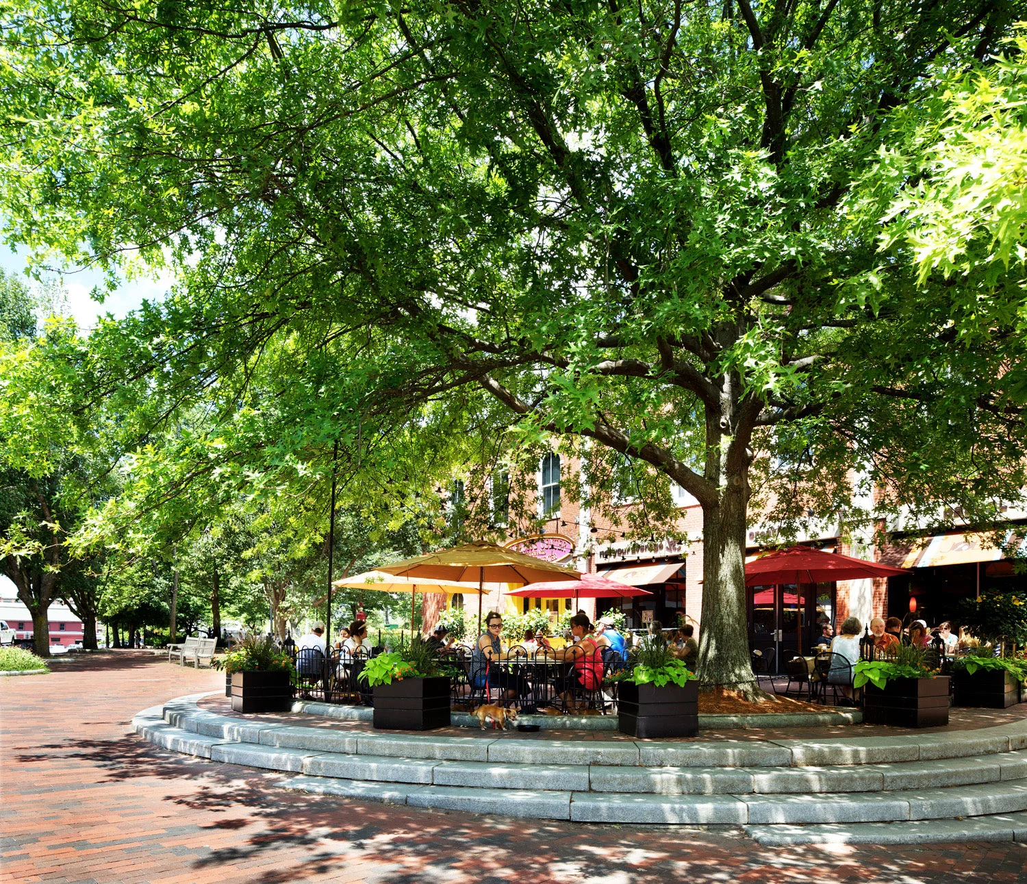 市场落地丨美国-7