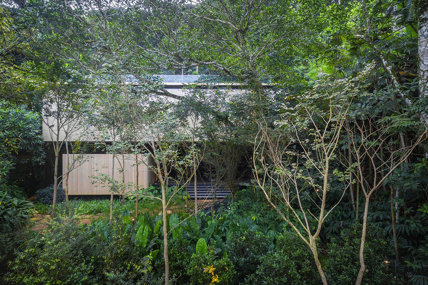 巴西 Casa da Mata 住宅 | 绿色生态与现代设计的完美融合-2