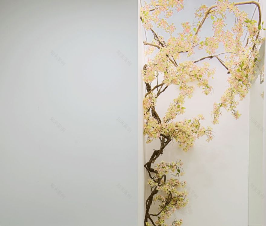 治愈系齿科空间 | 现代简约的安心体验-1