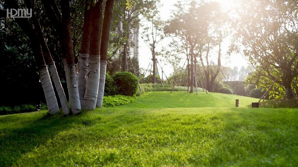 繁华万象，心归美好——龙湖·春江名城（大区）-24