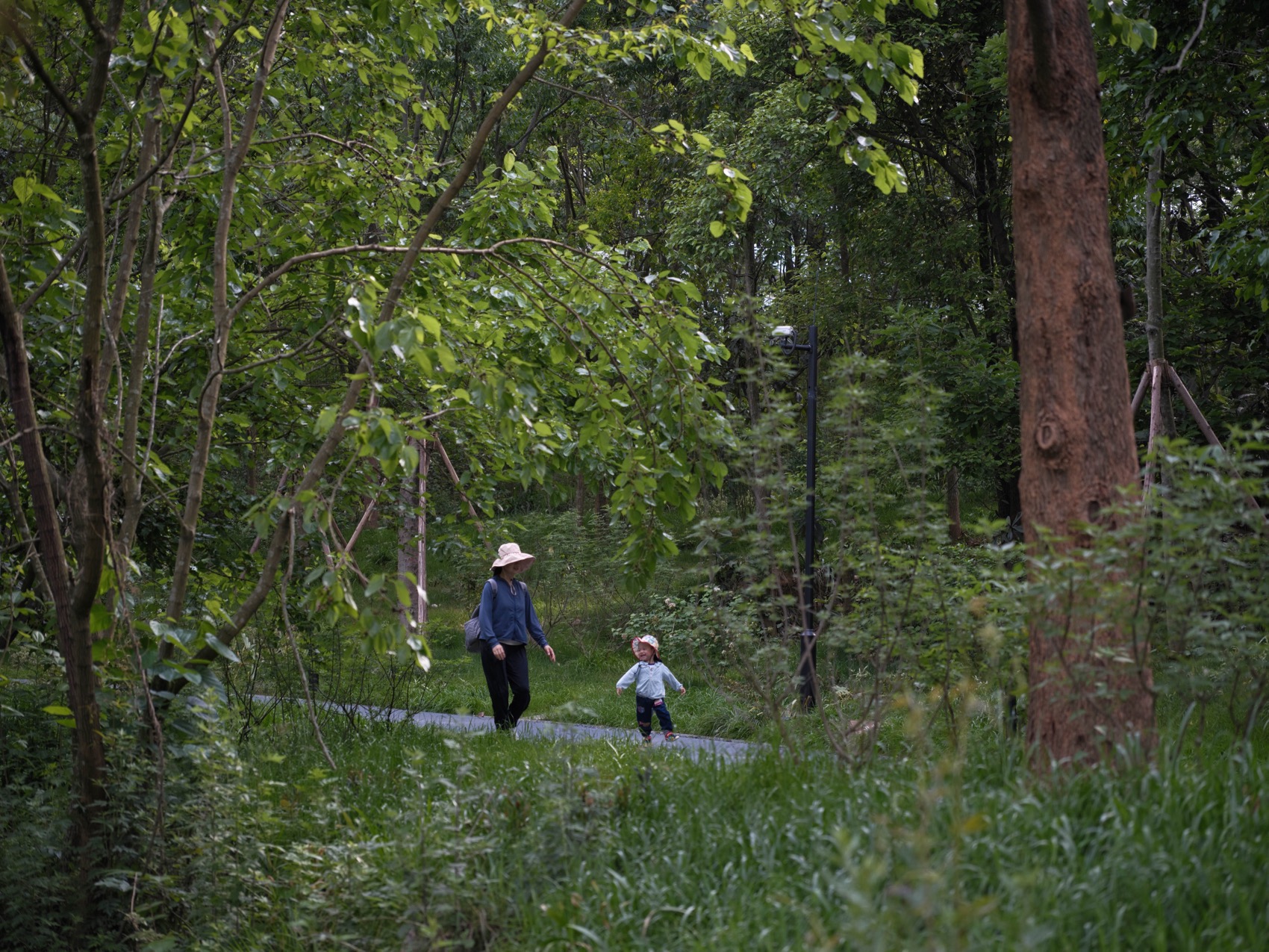 麓野公园丨中国成都丨四川乐道景观设计有限公司-173