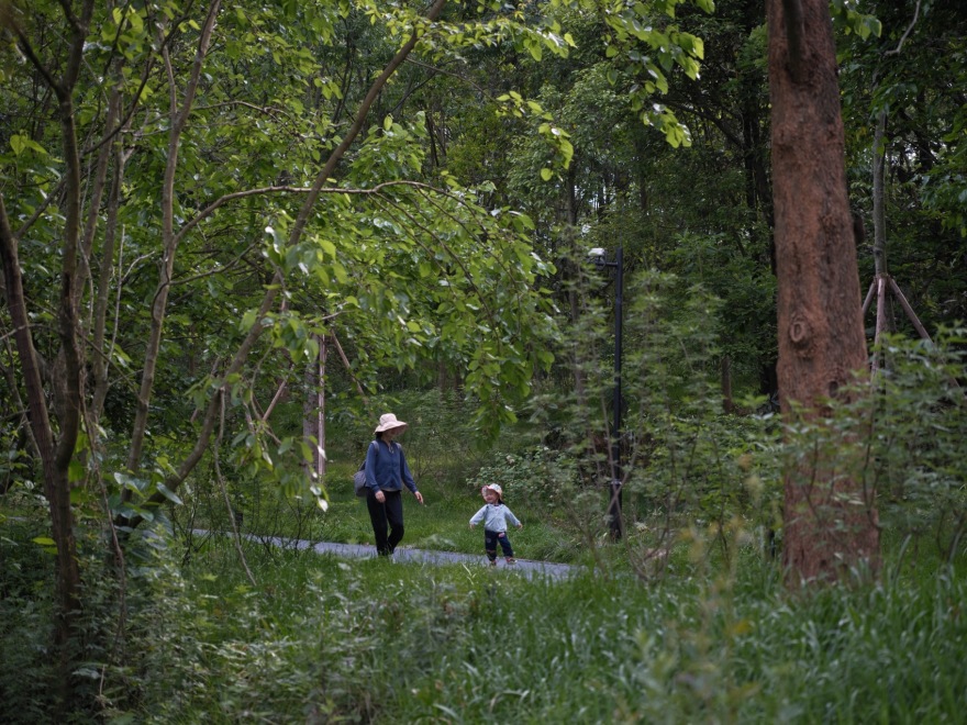 麓野公园丨中国成都丨四川乐道景观设计有限公司-173