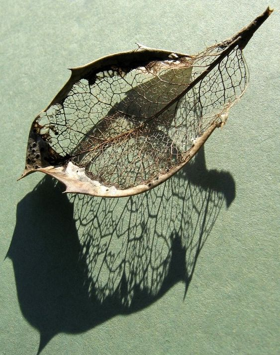 生如夏花 · 阳光城檀府125户型样板间丨中国蚌埠丨hi3 DESIGNERS-27