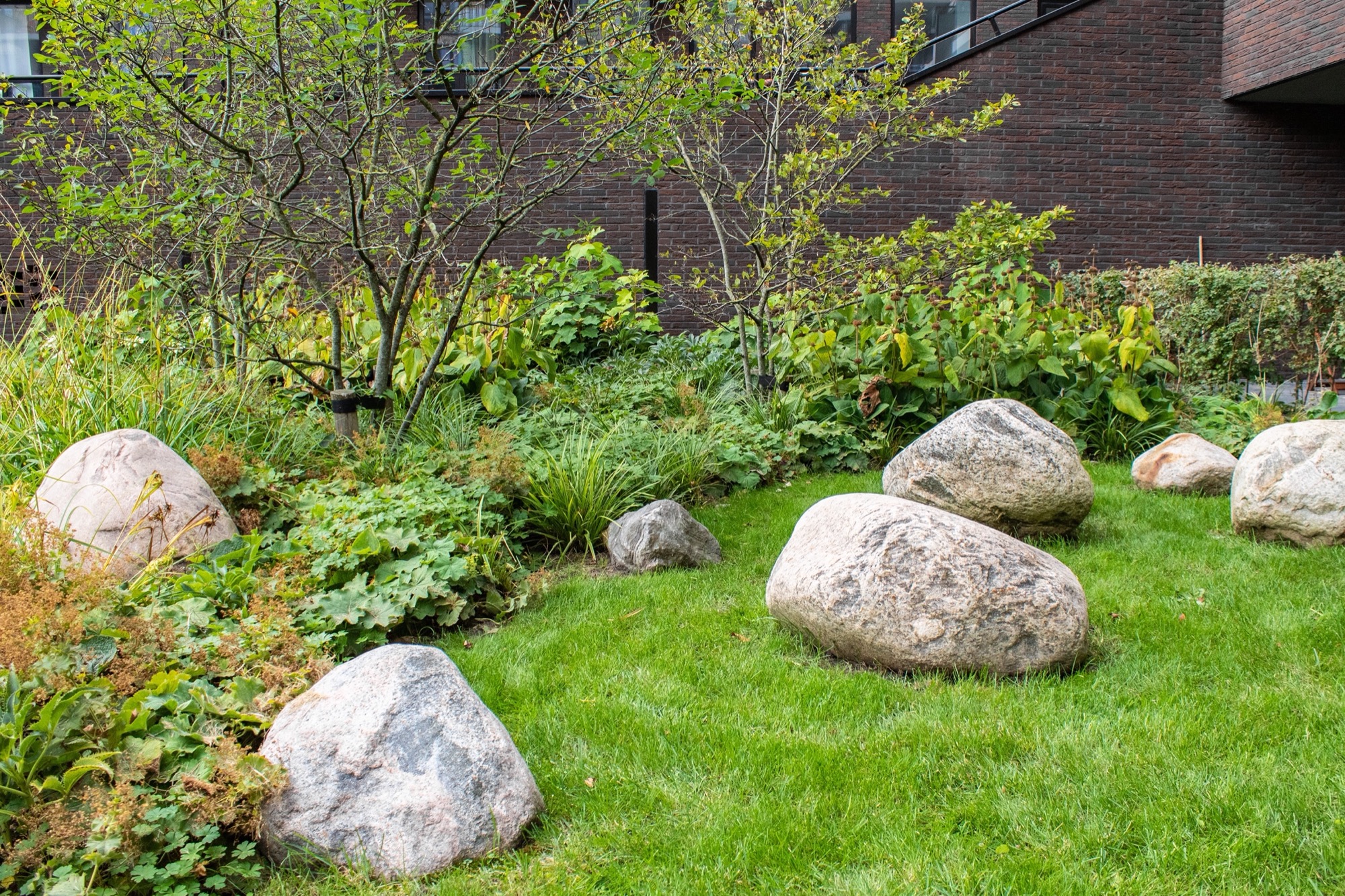 绿意盎然的城市校园 · 阿姆斯特丹 Lieven 公寓丨荷兰阿姆斯特丹丨Bureau B+B-14