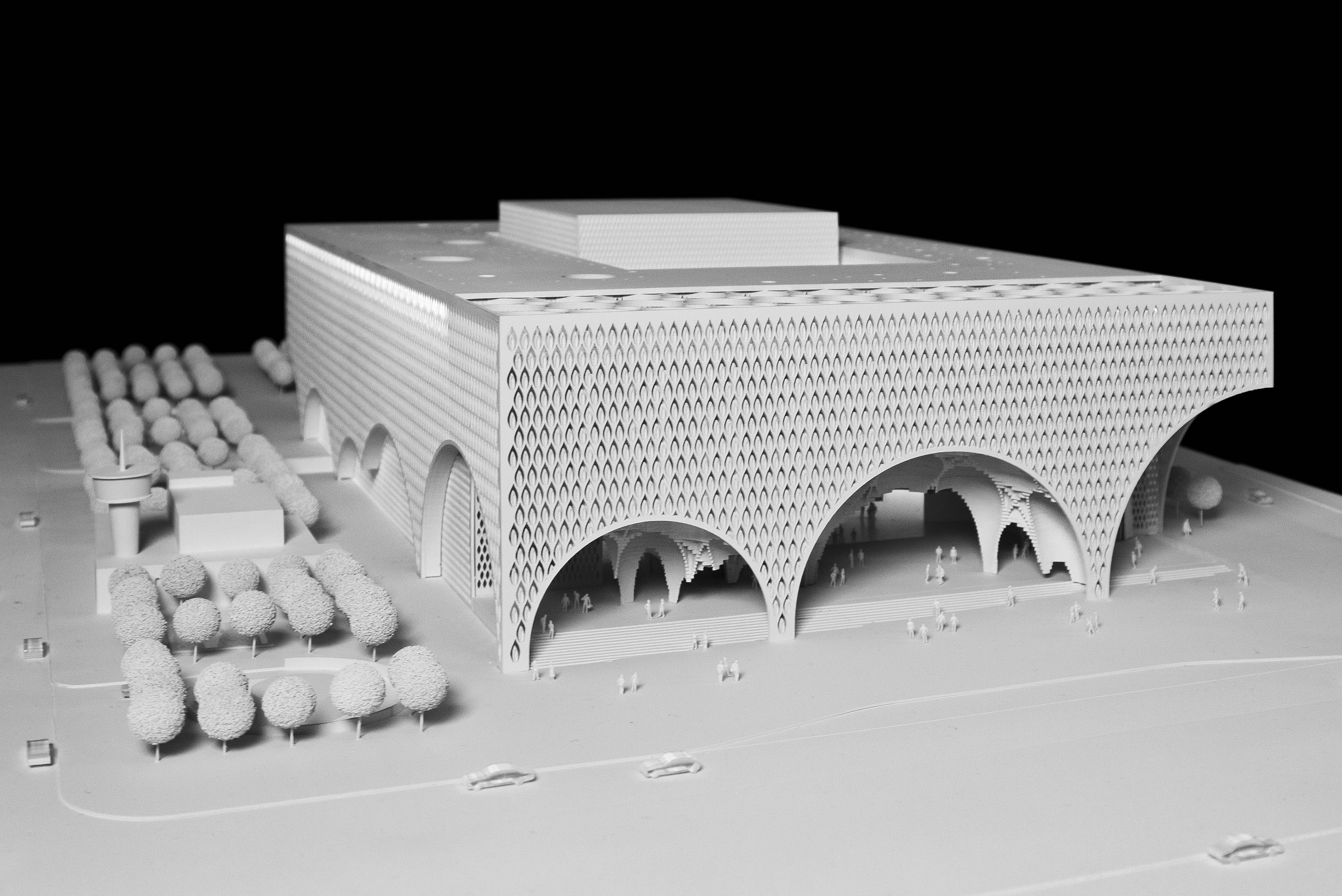 丨叙利亚丨Conser Syria-15