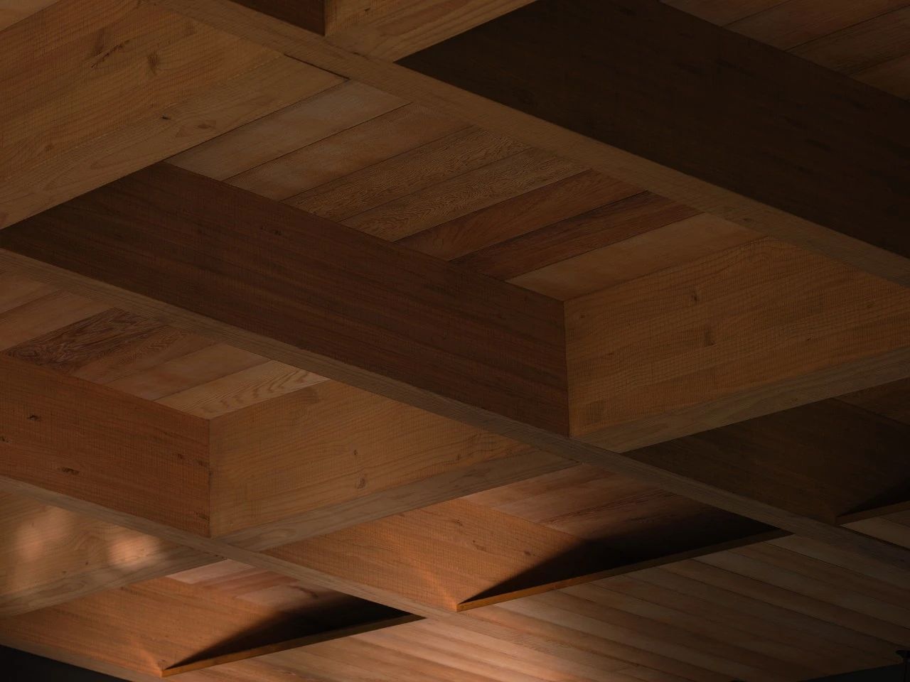 Matagouri 住宅丨新西兰丨Fearon Hay Architects-36