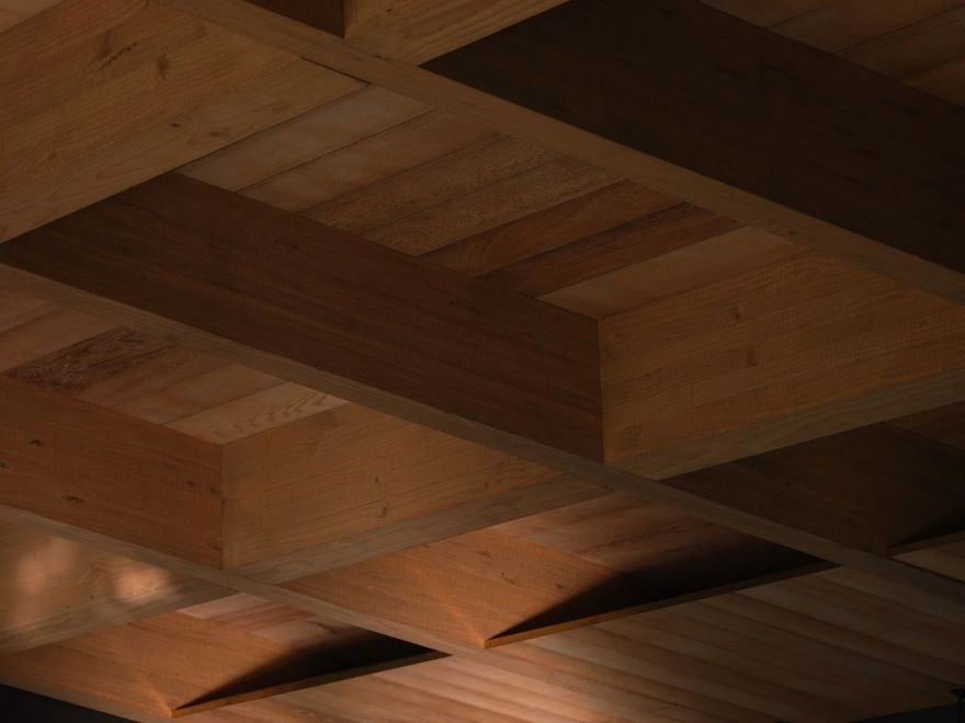 Matagouri 住宅丨新西兰丨Fearon Hay Architects-36