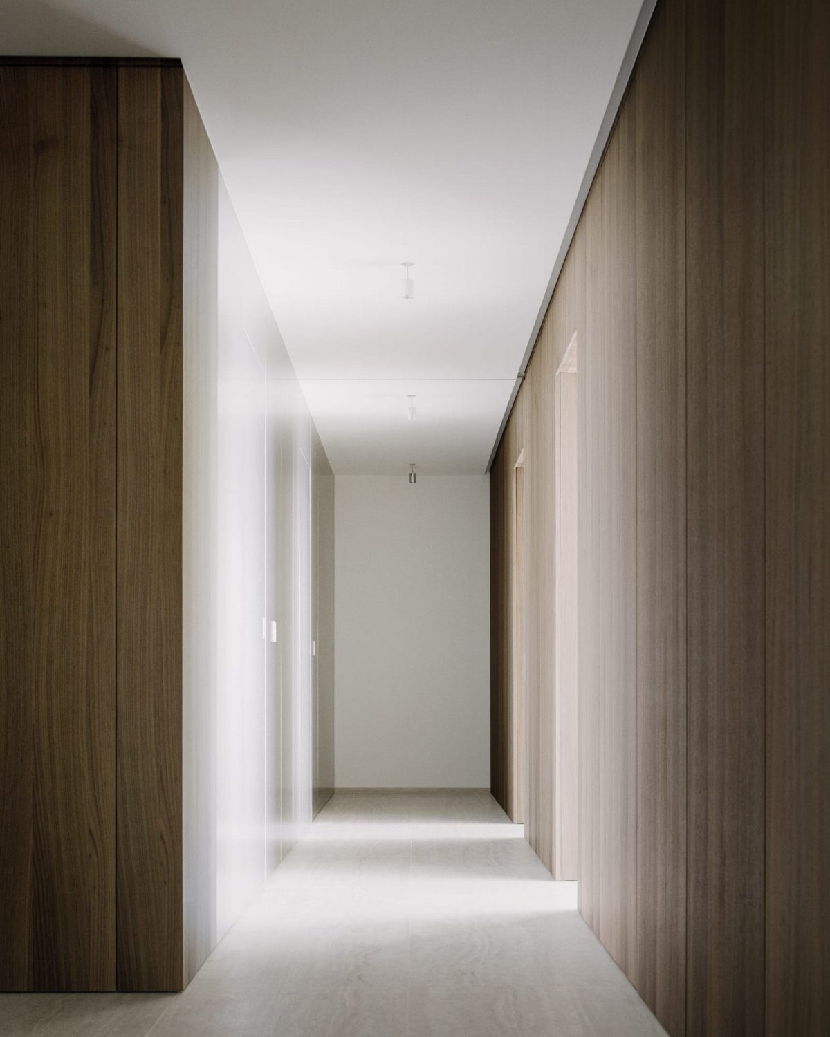 瑞士极简公寓，胡桃木与不锈钢的视觉盛宴-5