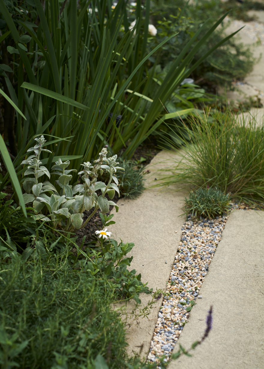 H01私宅庭园丨中国上海丨boll是园-52