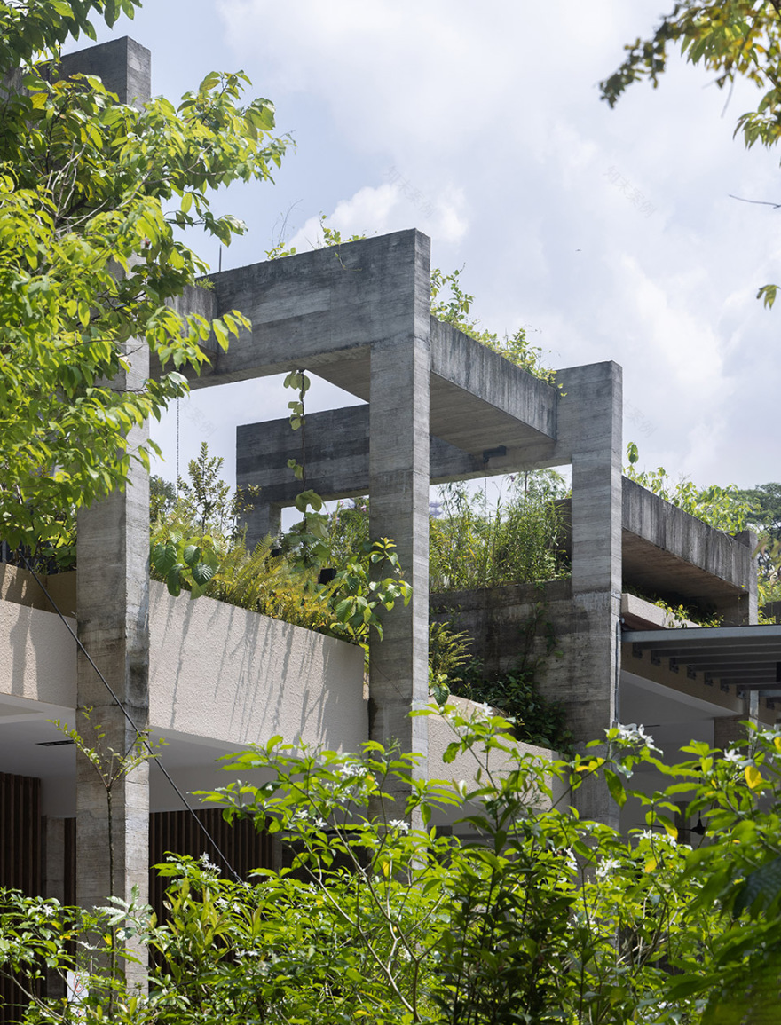 射靶场自然公园丨新加坡丨Henning Larsen-60