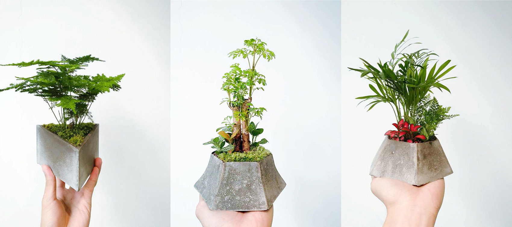 将美带入生活 & 可以自己制作的精致混凝土器物 / 造么工作室-3