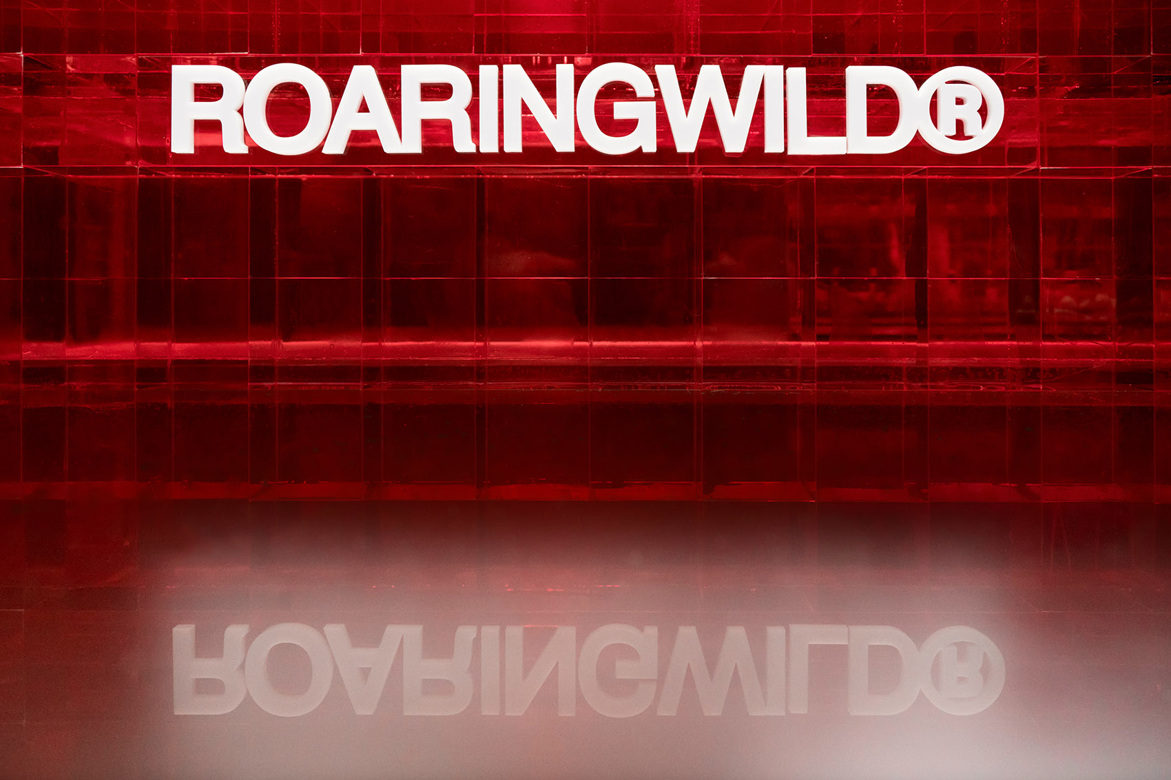 ROARINGWILD深业上城店，深圳 / 东仓建设-66