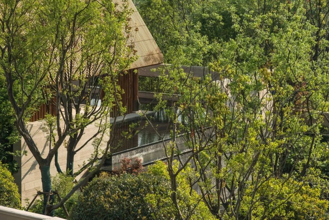 九月森林景观设计 | 金陵城，老山中，如梦境般栖居的“天宫之城 “-88