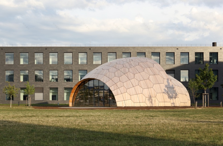 livMATS 仿生壳丨德国丨ICD,ITKE University of Stuttgart-6