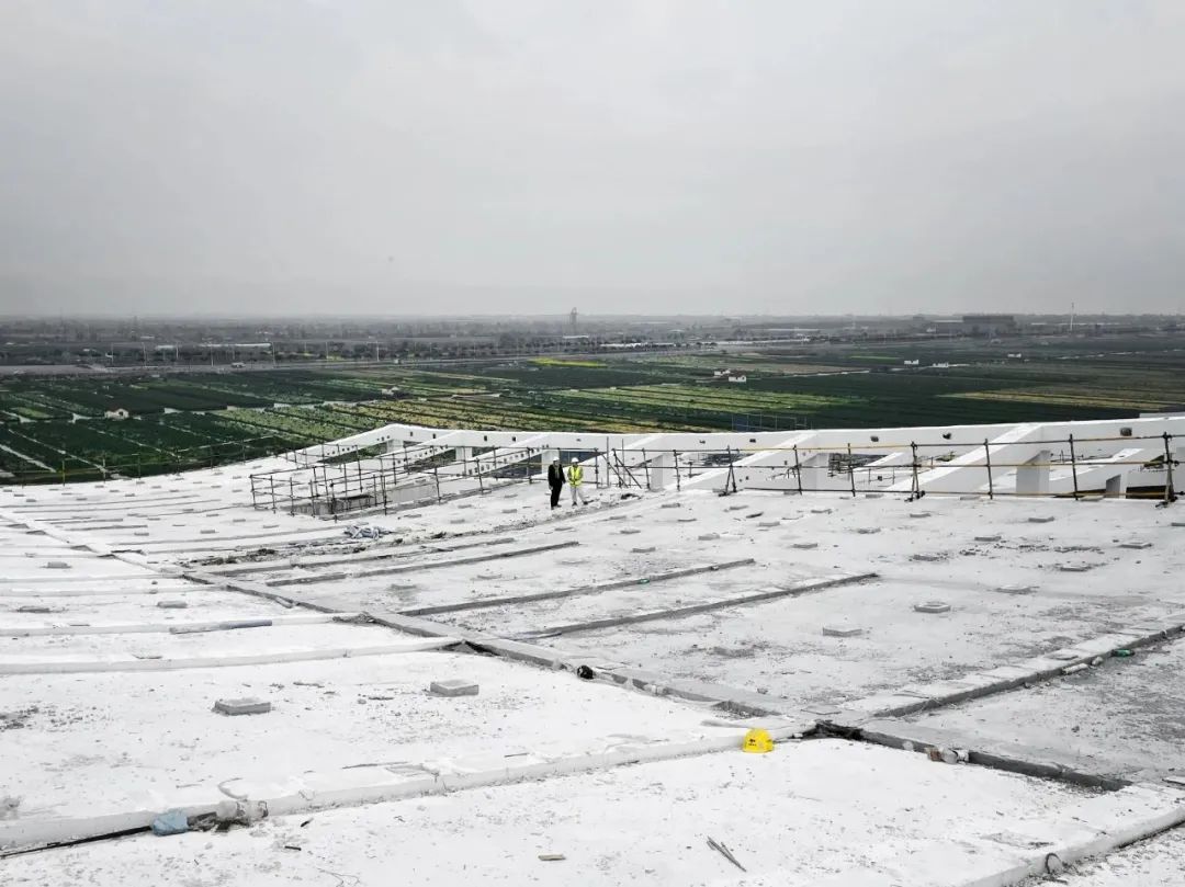 瑞安图书馆新馆（瑞安书院）丨萨尔瓦多滨海丨法国 AS 建筑工作室和浙江省建筑设计研究院联合体-4