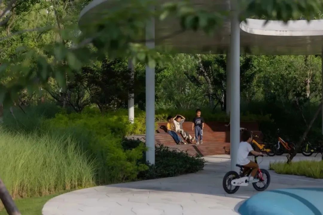 把生活放进温暖的街边口袋里 | 中新南京生态科技岛口袋公园计划-84