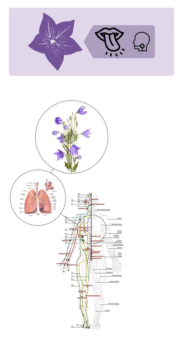 医药花园 | 华润生命科学园 景观设计-28