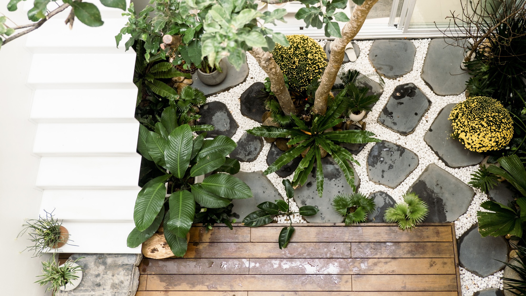 巴普的房子丨越南丨90+2 architects-14