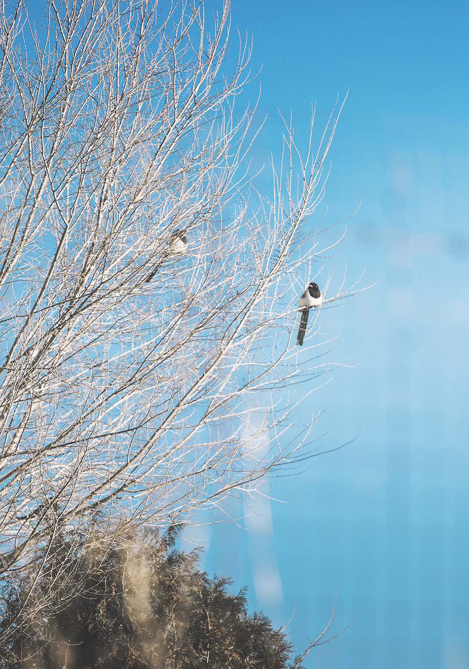 北京大隐于世净隐南山度假酒店-29