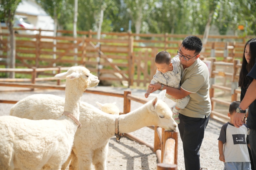 宁夏银川兰多多亲自然乐园丨中国银川丨阿普贝思UP+S-110