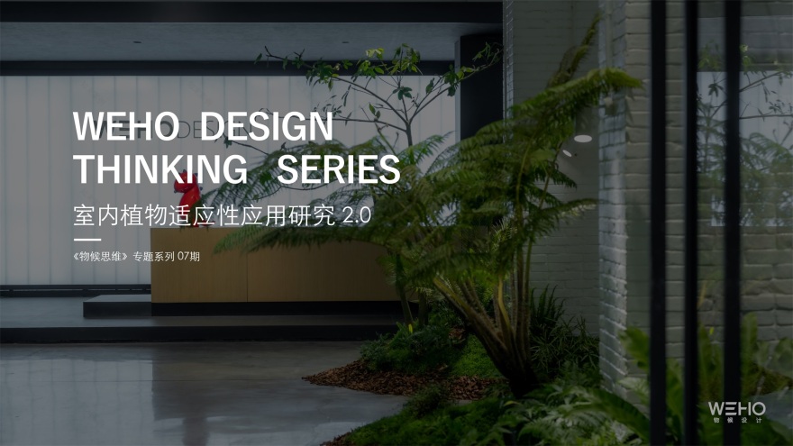 WE HOUSE 物候自然展厅丨我们在办公室造了一个植物园 / 物候设计-90