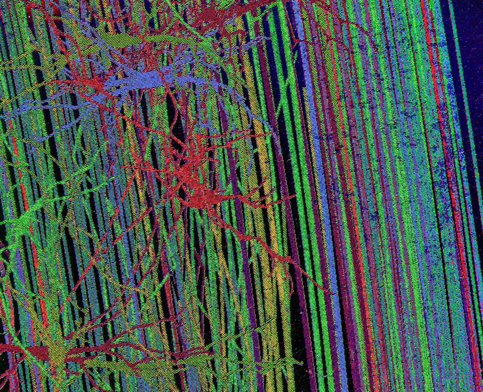 神经艺术 · 探索科学可视化的创新之路-4