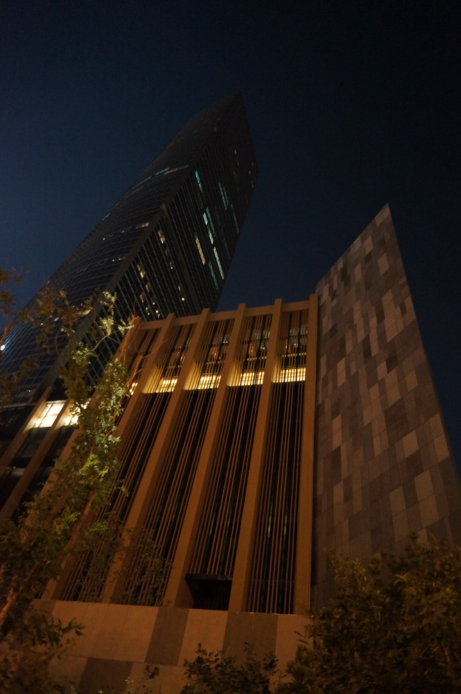 北京瑰丽酒店——亚洲首家瑰丽试营业自拍-21