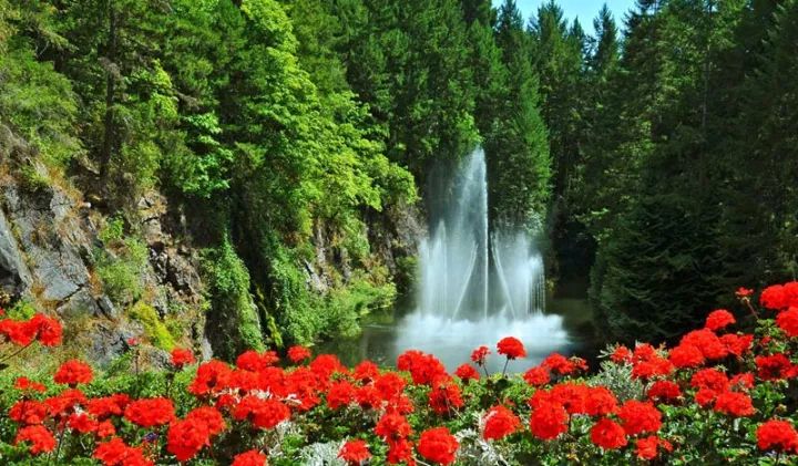 世界上最大的私家花园，迄今已有116年历史！-49