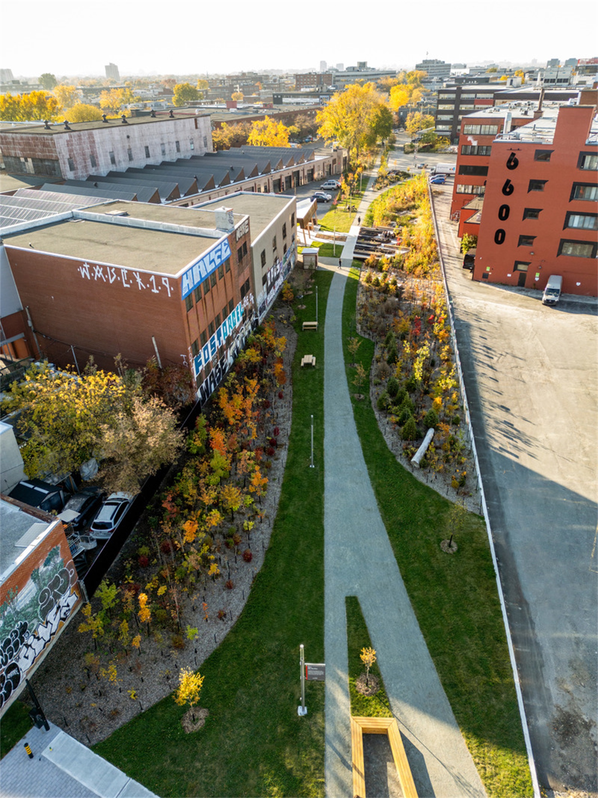 大猩猩公园丨加拿大蒙特利尔丨civiliti-2