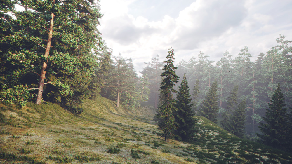 森林深处的素色设计空间-10