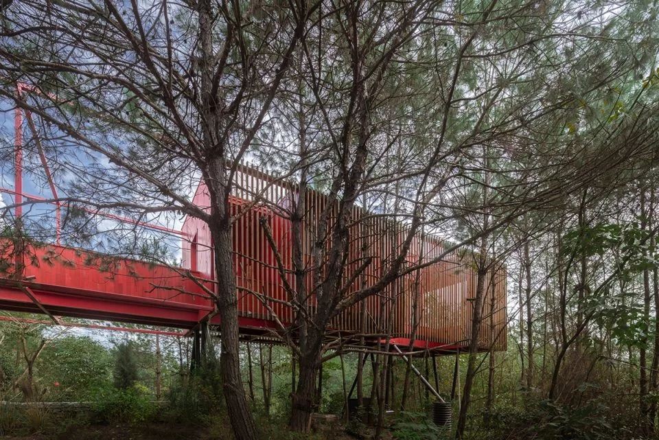 藏匿在深山的民宿：美的就像童话小屋-2