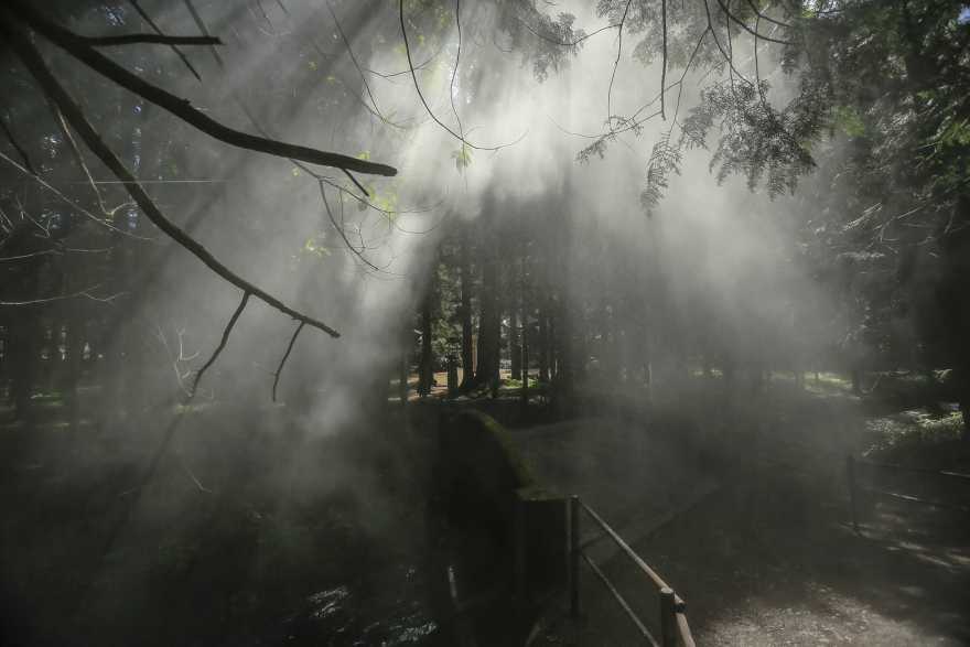 阿克零·尼姆布斯,詹姆斯·塔普斯科特-10