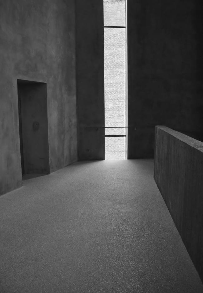 “老虎与乌龟”丨德国丨德国艺术家乌尔里希·根茨和海克·穆特-37