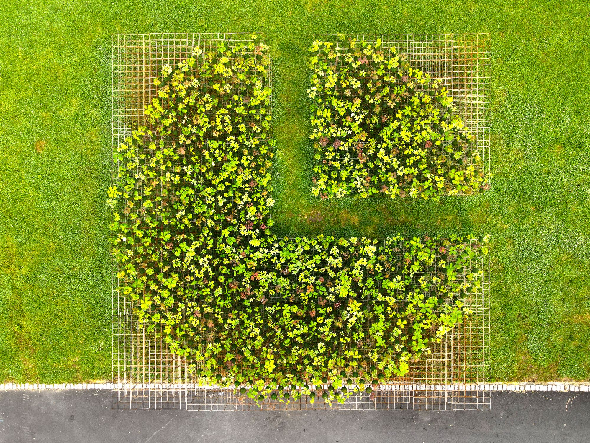 Kokedama Forest Installation，可持续微型森林雕塑-25