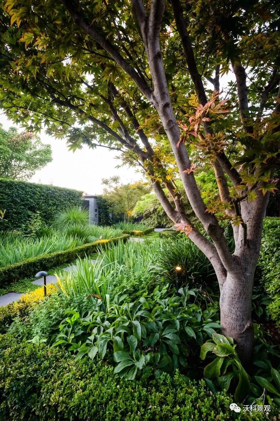 融入自然的别墅庭院设计-95