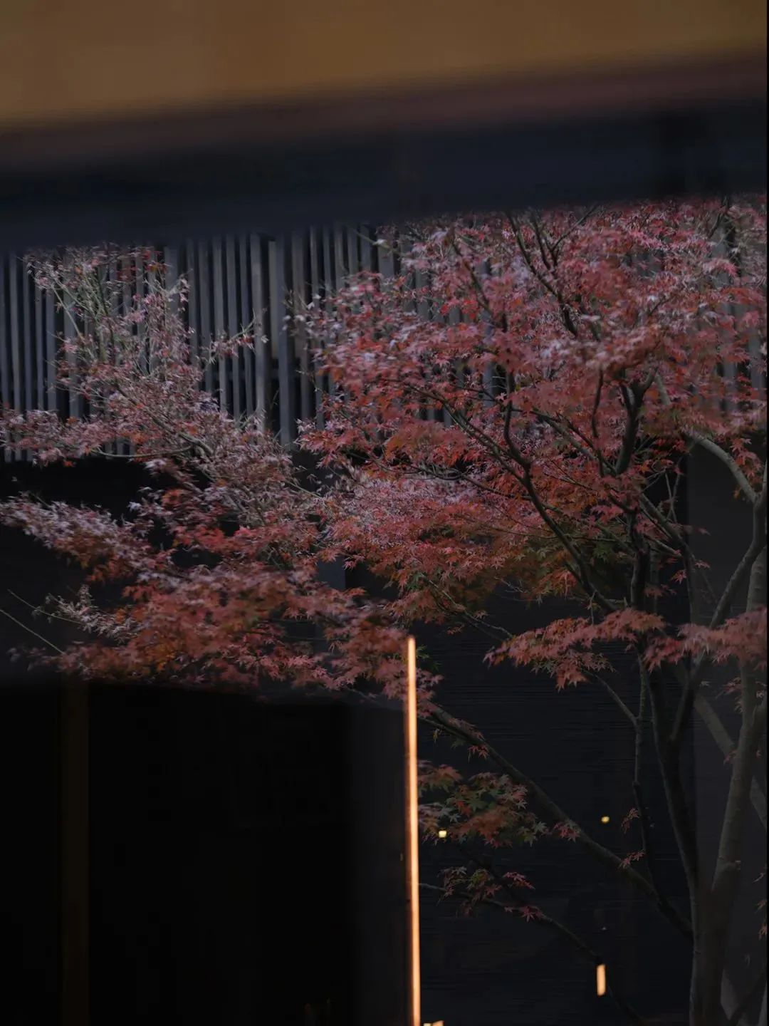 良壤酒店丨水平线设计-84