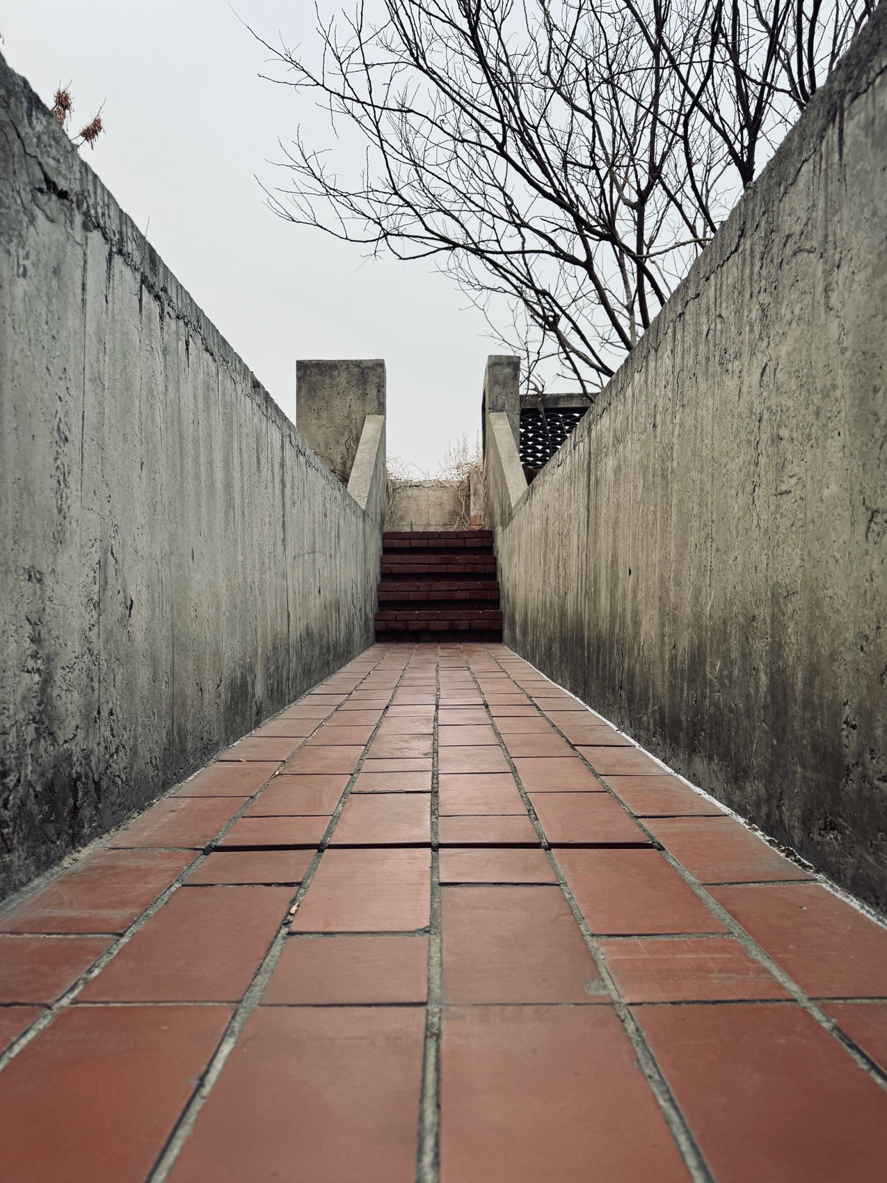 红砖美术馆手机摄影作品，北京 / Kun-44