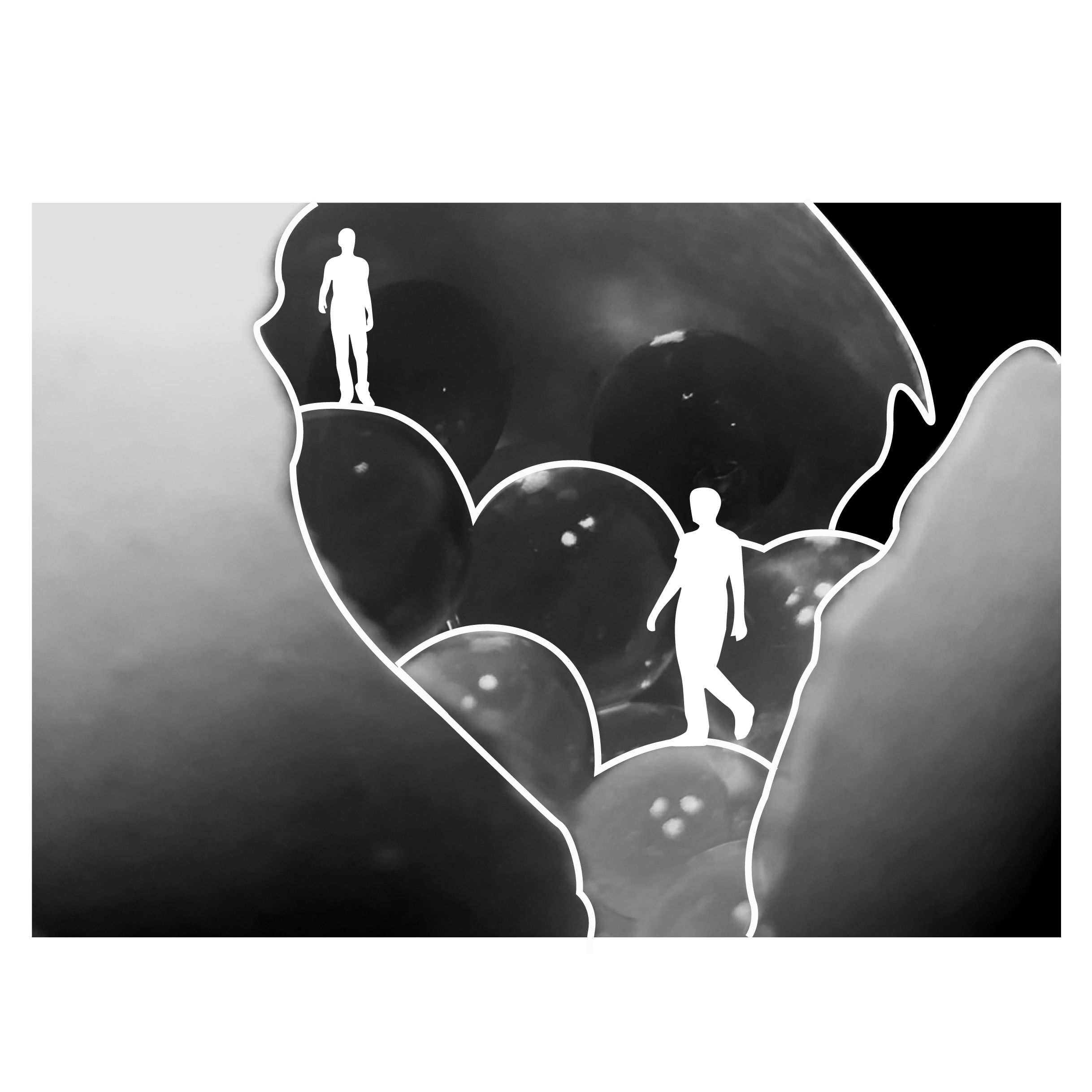 空间与自然元素-41