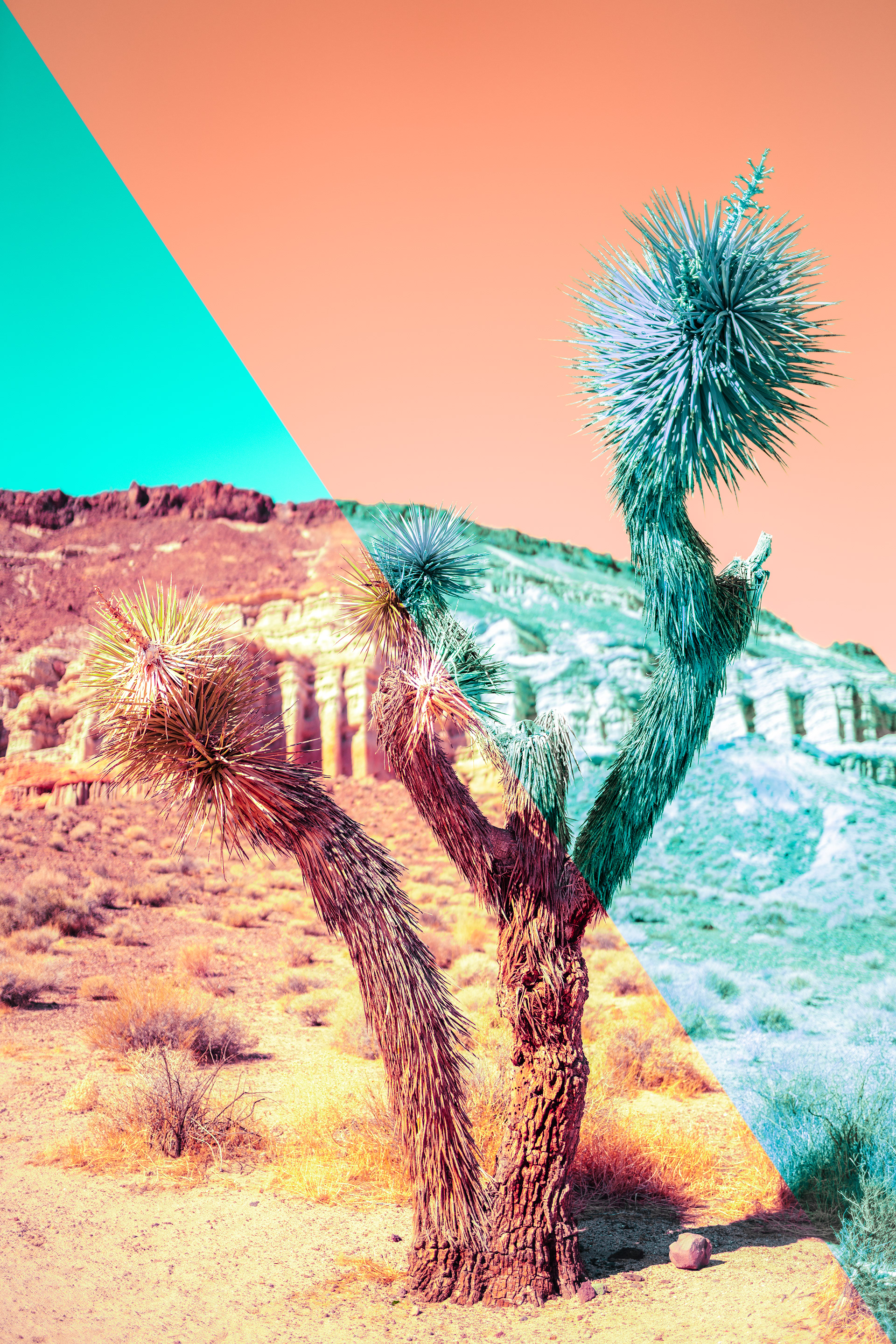 彩色海市蜃楼-6